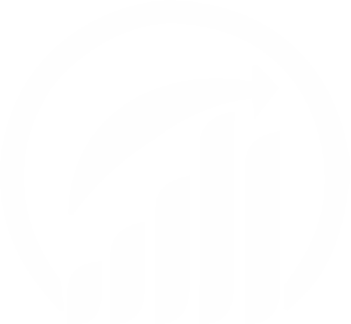 Dynamicoptionexperts